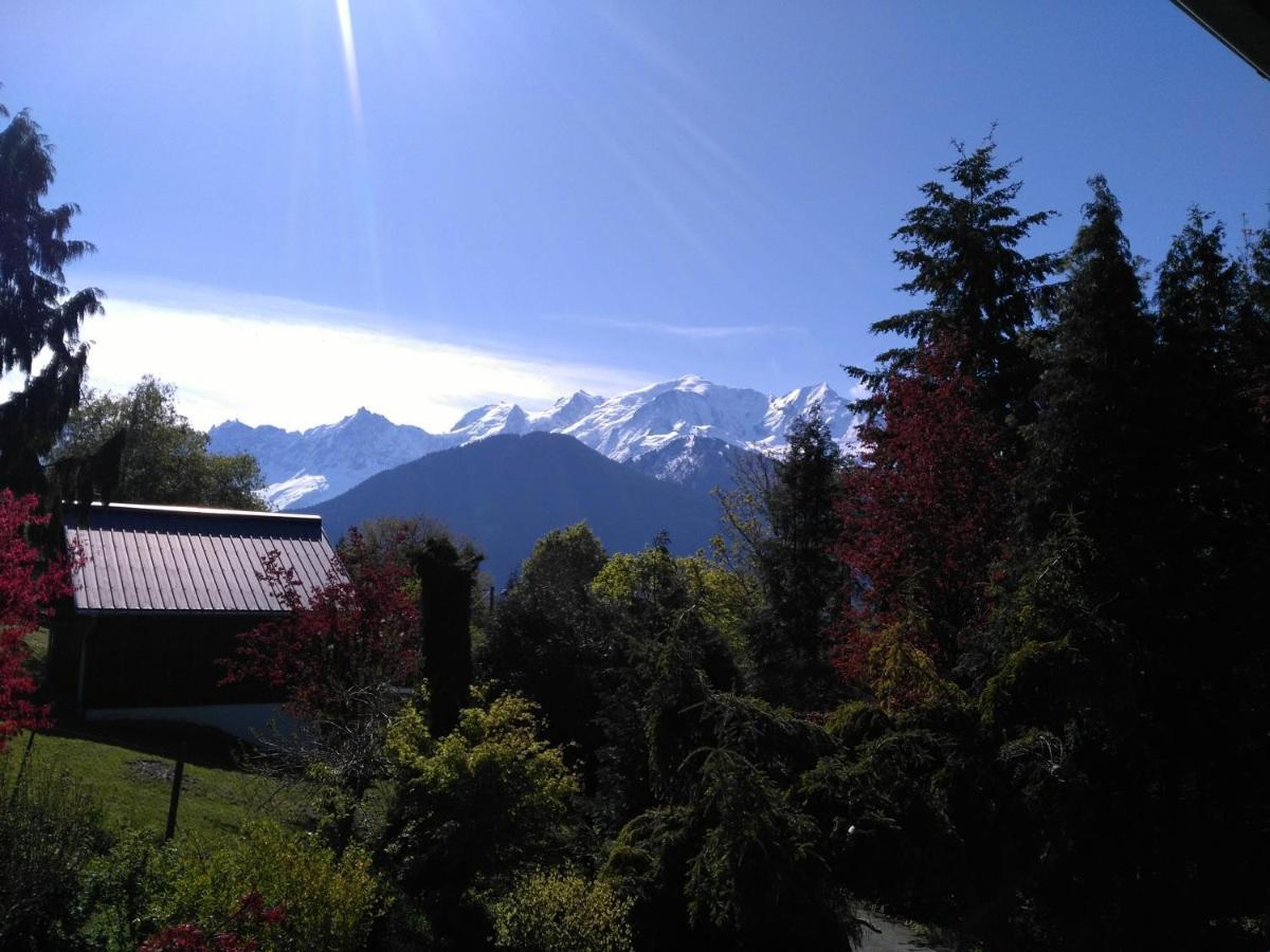 Mont Etape , F2, 42 M2, Calme, Vue Mt Blanc Apartamento Passy  Quarto foto